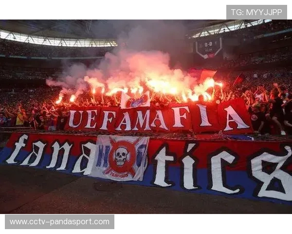 球迷冲突致比赛中断，欧足联调查安保漏洞