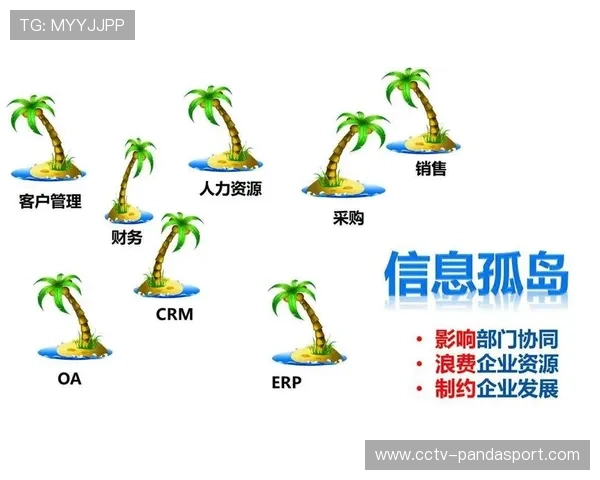 体育数据要素流通机制创新，破解核心业态信息孤岛难题